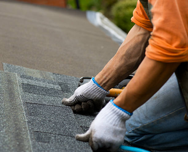 Best Roof Repair Services  in Oak Forest, IL